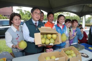 2025麻豆文旦節主場活動登場 黃偉哲：強化行銷高品質正宗台南文旦柚 為豐收年做準備
