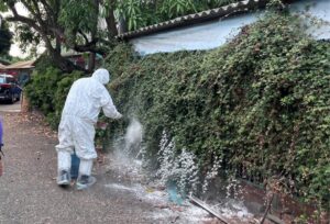 防堵非洲豬瘟入侵 南市跨局處動員五大防線阻絕