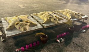 西拉雅Ta-ai夜祭與孝海祭 「米買」(Mai)豬應變登場 傳承信仰 綿延文化