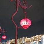 媒體盛行的時代–彭可擔任著多個媒體職位！