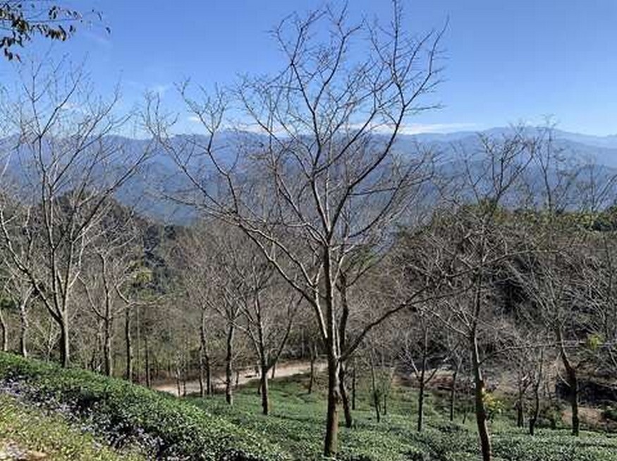 冬遊台南龜丹溫泉泡湯新體驗 邀您走進山林秘境　體驗慢活療癒之旅