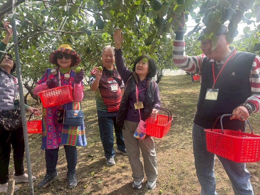 「梅」你不行的冬天 就來楠西賞花、採果、泡溫泉