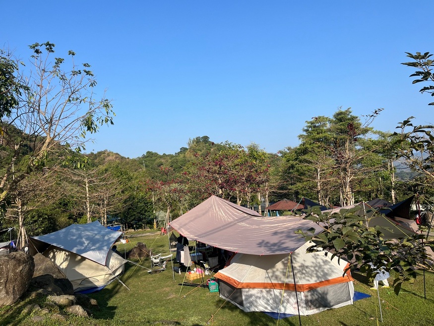 走入山城秘境！來場星空、夜梅與山林療癒交織的深度露營之旅