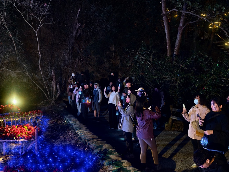 空山祭一週四天開展不減熱度  破萬人潮、破百萬票房