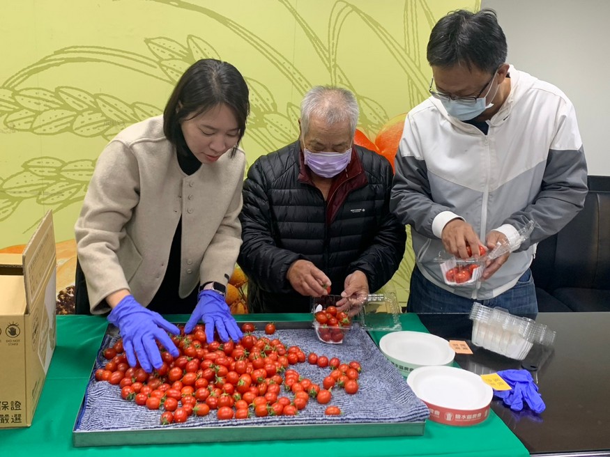 冬日限定好滋味　鹽水番茄產季到來