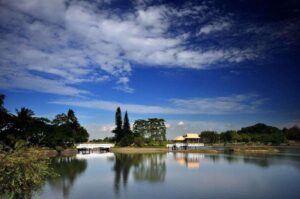 馬到成功迎新春！逛新化年貨大街、遊虎頭埤、訪奇美博物館 臺南春節樂購遊一次滿足