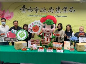 冬日限定好滋味　鹽水番茄產季到來