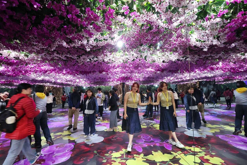  白天賞蘭展，晚上逛燈會 2026蘭展推薦遊程、優惠店家報你知