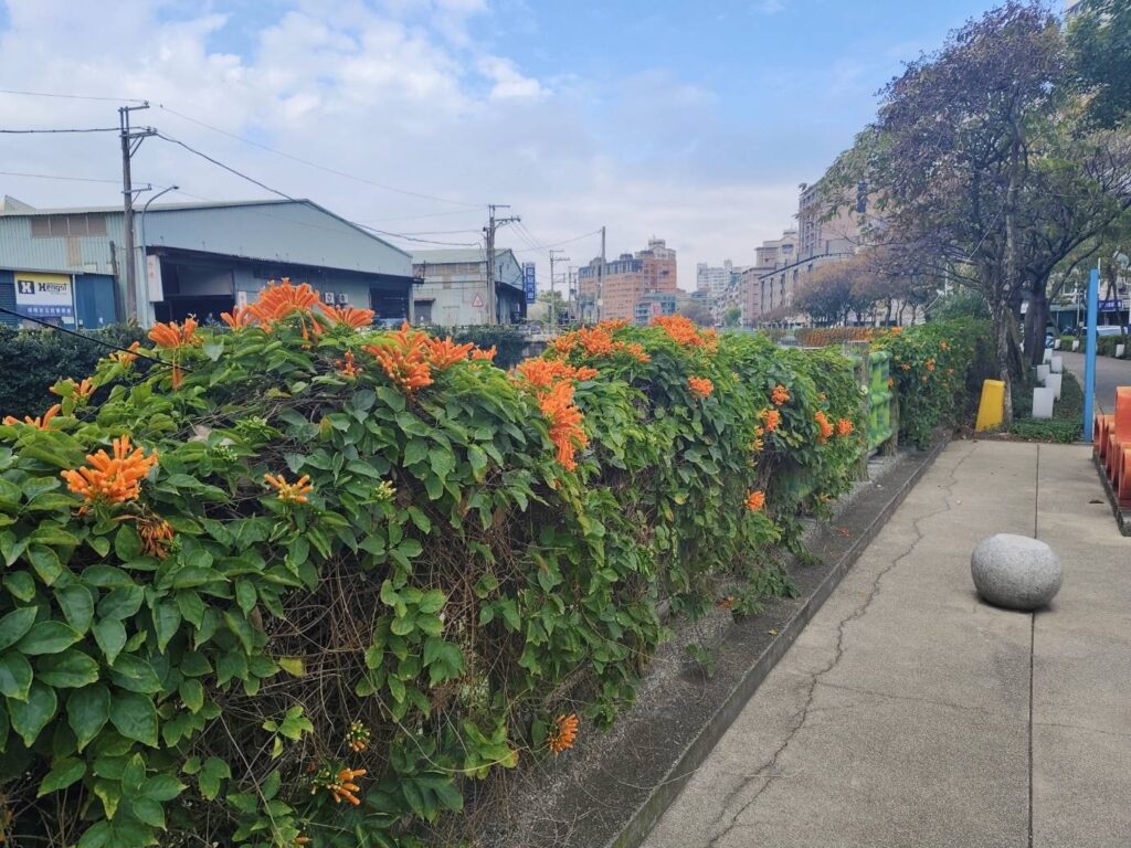 messageImage_1770952785907