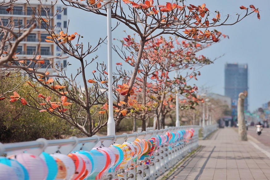 水豚寶寶「糯米」報到 萌翻安平 228連假來臺南看水豚、跟卡比胖拉拍照、拿限定小提燈