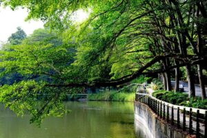 低碳漫遊 一路發 搭乘台灣好行遊虎頭埤，來趟露營、老街與山林秘境之旅